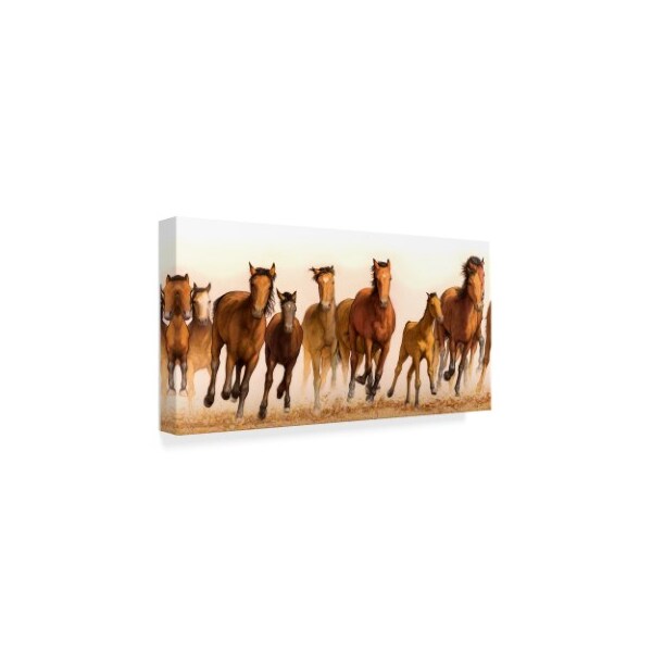 Trademark Fine Art James W. Johnson 'Running Horses Group' Canvas Art, 10x19 - ALI36296-C1019GG