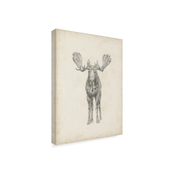 Trademark Fine Art Ethan Harper 'Moose Study Illustration' Canvas Art, 18x24 - WAG07352-C1824GG