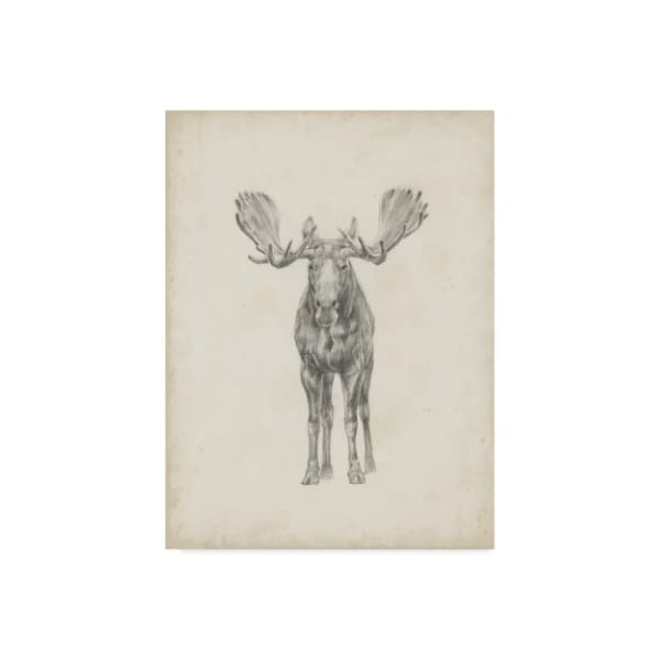 Trademark Fine Art Ethan Harper 'Moose Study Illustration' Canvas Art, 18x24 - WAG07352-C1824GG