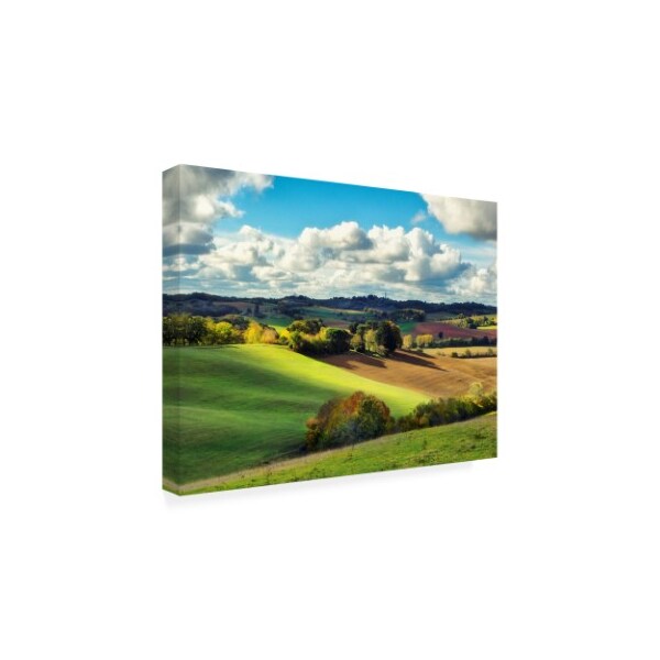 Trademark Fine Art Colby Chester 'Pastoral Countryside Iii' Canvas Art, 35x47 - WAG11031-C3547GG