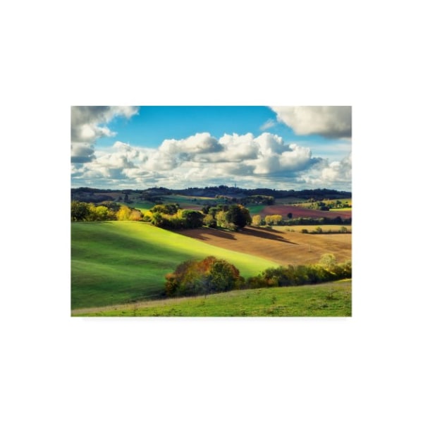 Trademark Fine Art Colby Chester 'Pastoral Countryside Iii' Canvas Art, 35x47 - WAG11031-C3547GG