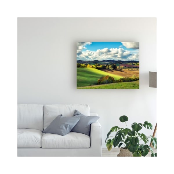Trademark Fine Art Colby Chester 'Pastoral Countryside Iii' Canvas Art, 35x47 - WAG11031-C3547GG