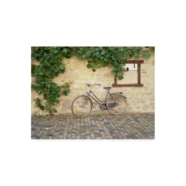 Trademark Fine Art Monte Nagler 'Bicycle Turckheim France Color' Canvas Art, 35x47 - ALI44815-C3547GG