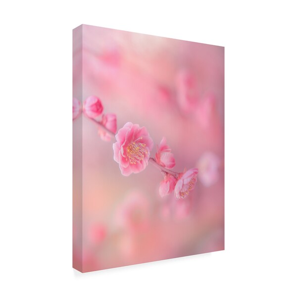 Trademark Fine Art Miyako Koumura 'Gentle Cherry Blossom' Canvas Art, 35x47 - 1X09184-C3547GG