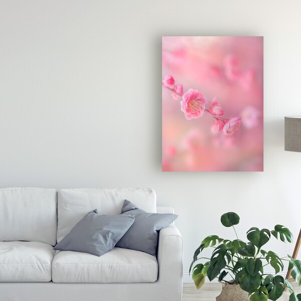 Trademark Fine Art Miyako Koumura 'Gentle Cherry Blossom' Canvas Art, 35x47 - 1X09184-C3547GG