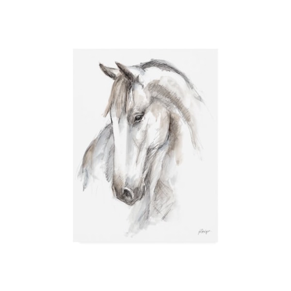 Trademark Fine Art Ethan Harper 'Watercolor Equine Study II' Canvas Art, 14x19 - WAG15797-C1419GG