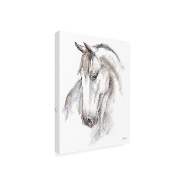 Trademark Fine Art Ethan Harper 'Watercolor Equine Study II' Canvas Art, 14x19 - WAG15797-C1419GG