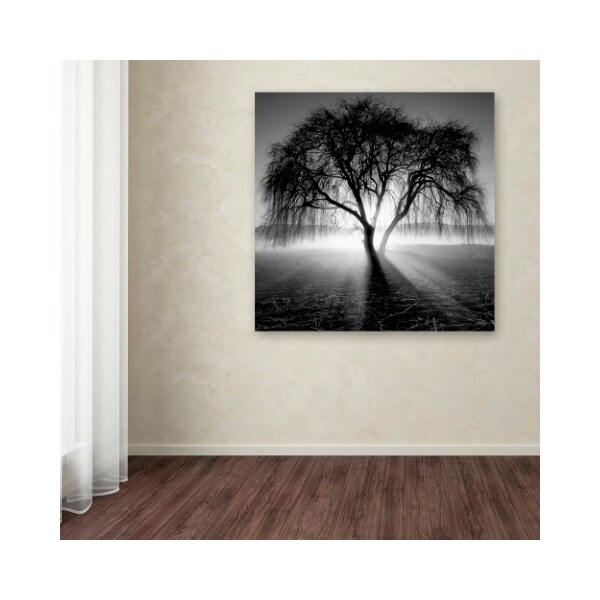 Trademark Fine Art Moises Levy 'Lightning Tree I' Canvas Art, 24x24 - ALI1069-C2424GG