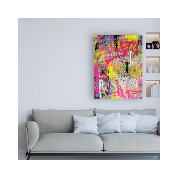Trademark Fine Art David Drioton 'Pink Paint Graffiti' Canvas Art, 18x24 - ALI46943-C1824GG