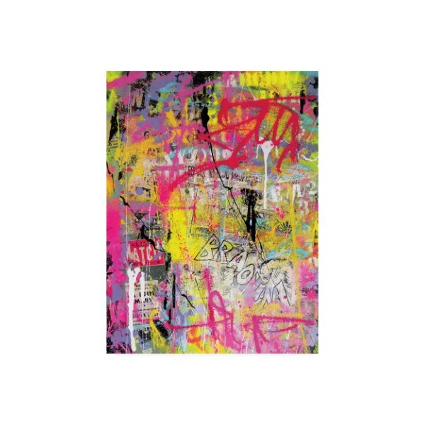 Trademark Fine Art David Drioton 'Pink Paint Graffiti' Canvas Art, 18x24 - ALI46943-C1824GG