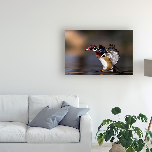 Trademark Fine Art Verdon 'Soft Landing Duck' Canvas Art, 30x47 - 1X08998-C3047GG