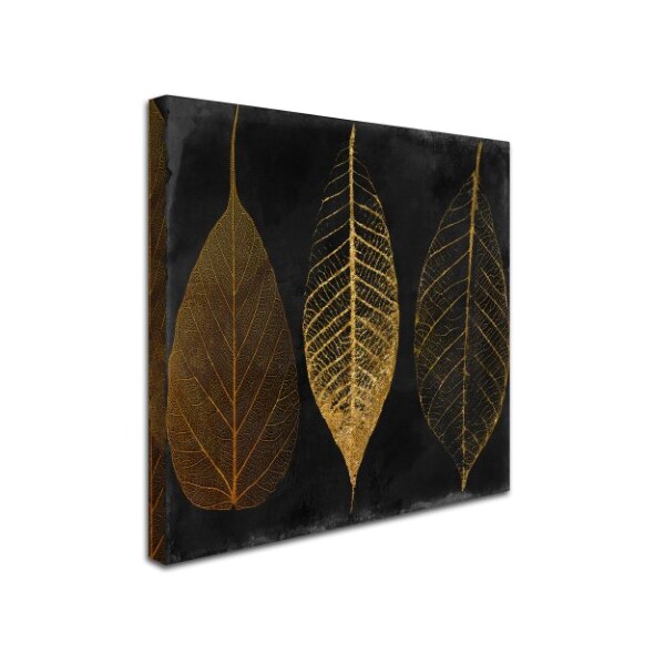 Trademark Fine Art Color Bakery 'Fallen Gold I' Canvas Art, 14x14 - ALI4931-C1414GG