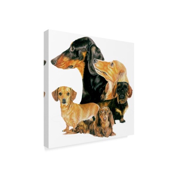 Trademark Fine Art Barbara Keith 'Dachshund Collage' Canvas Art, 18x18 - ALI25042-C1818GG
