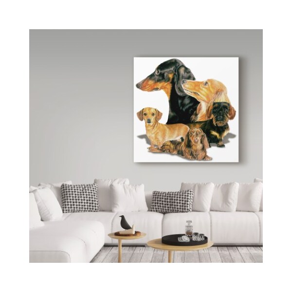 Trademark Fine Art Barbara Keith 'Dachshund Collage' Canvas Art, 18x18 - ALI25042-C1818GG