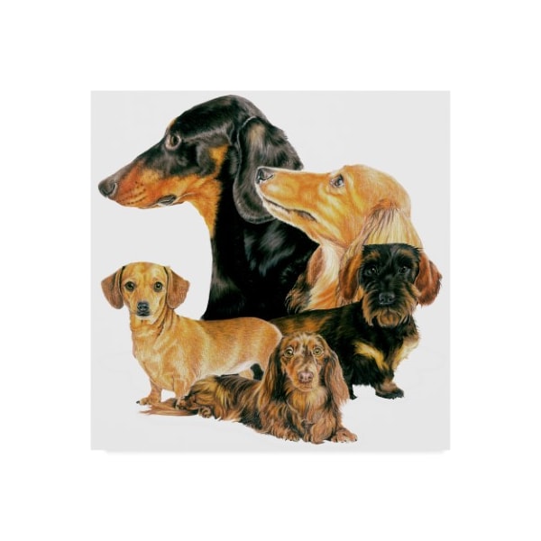 Trademark Fine Art Barbara Keith 'Dachshund Collage' Canvas Art, 18x18 - ALI25042-C1818GG