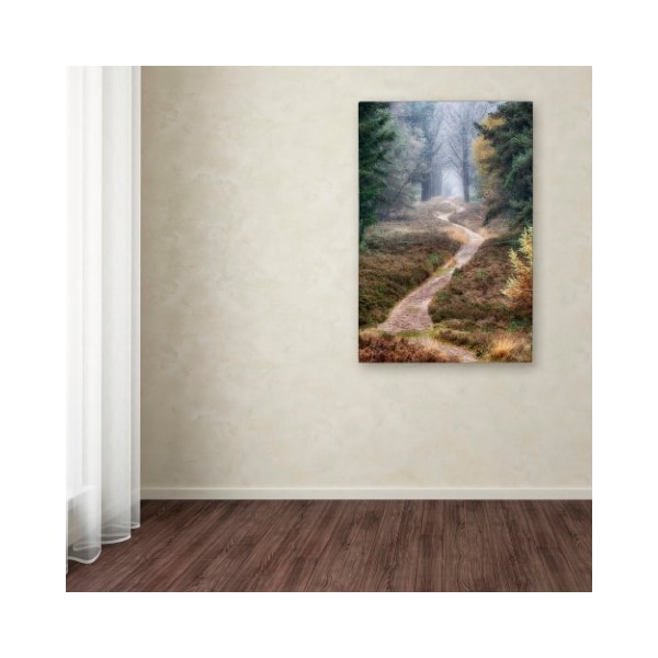 Trademark Fine Art Cora Niele 'Hiking Trail' Canvas Art, 16x24 - ALI1834-C1624GG