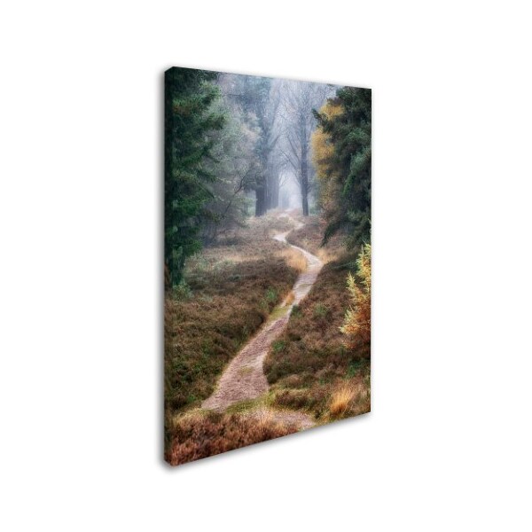 Trademark Fine Art Cora Niele 'Hiking Trail' Canvas Art, 16x24 - ALI1834-C1624GG
