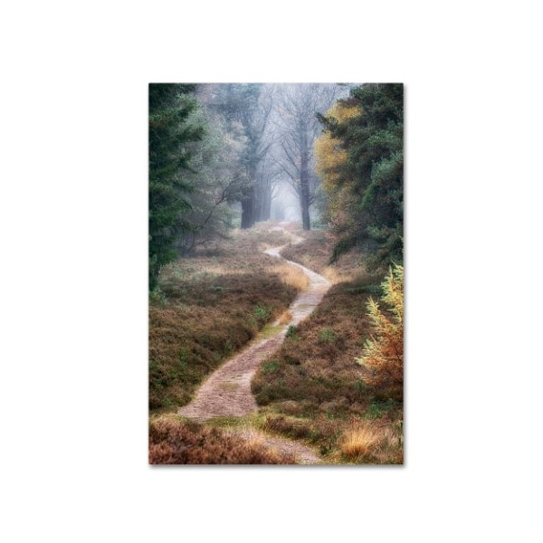 Trademark Fine Art Cora Niele 'Hiking Trail' Canvas Art, 16x24 - ALI1834-C1624GG
