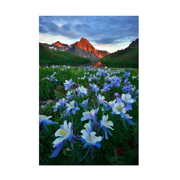 Trademark Fine Art Mei Xu 'Blue Columbine Paradise' Canvas Art, 30x47 - 1X13846-C3047GG