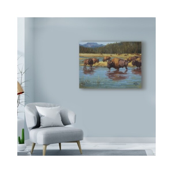 Trademark Fine Art Jack Sorenson 'Buffalo Crossing' Canvas Art, 35x47 - WAG02013-C3547GG