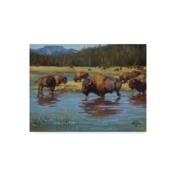 Trademark Fine Art Jack Sorenson 'Buffalo Crossing' Canvas Art, 35x47 - WAG02013-C3547GG