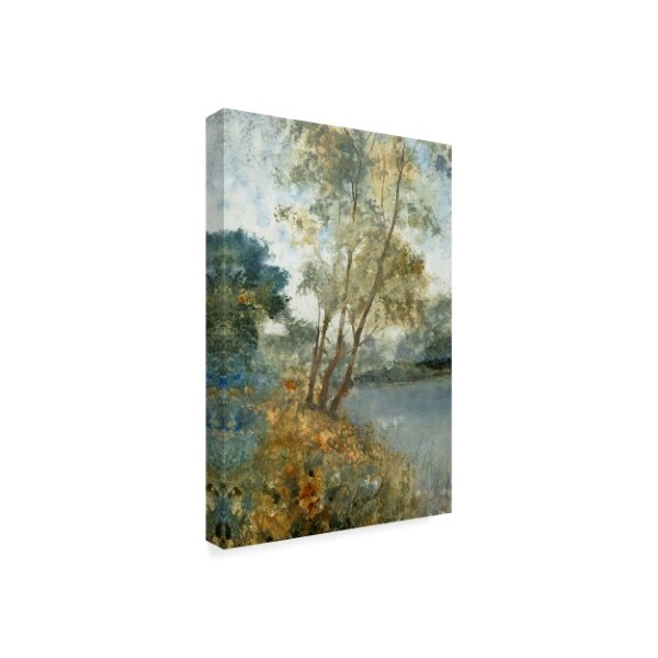 Trademark Fine Art Tim Otoole 'Ethereal Waters I' Canvas Art, 22x32 - WAG04000-C2232GG