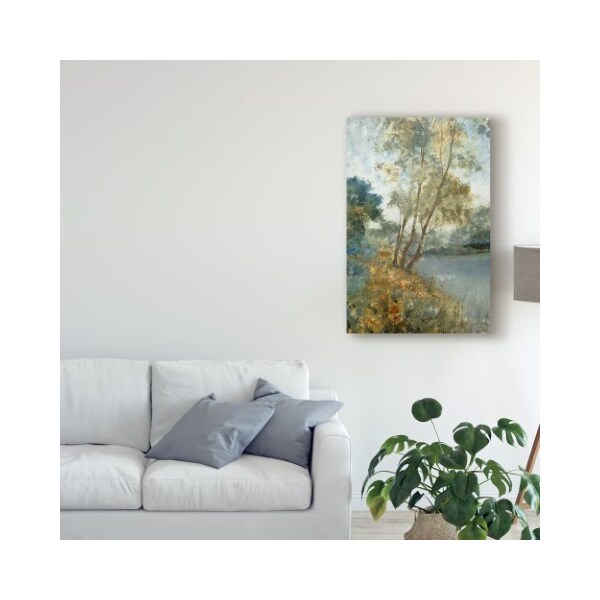 Trademark Fine Art Tim Otoole 'Ethereal Waters I' Canvas Art, 22x32 - WAG04000-C2232GG