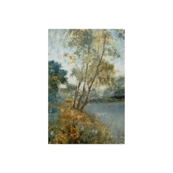 Trademark Fine Art Tim Otoole 'Ethereal Waters I' Canvas Art, 22x32 - WAG04000-C2232GG