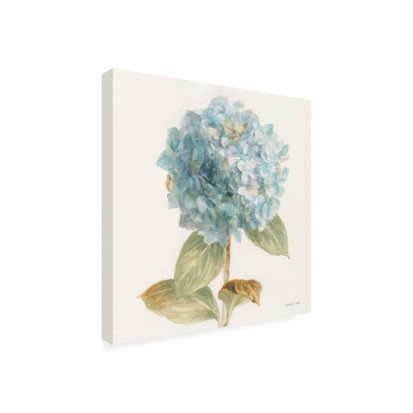 Trademark Fine Art Danhui Nai 'Garden Hydrangea' Canvas Art, 24x24 - WAP10822-C2424GG
