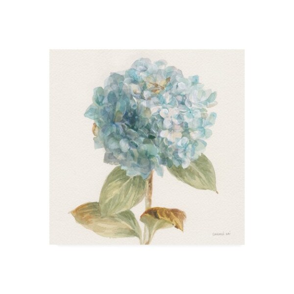 Trademark Fine Art Danhui Nai 'Garden Hydrangea' Canvas Art, 24x24 - WAP10822-C2424GG