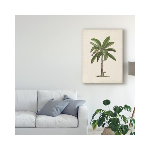 Trademark Fine Art Naomi Mccavitt 'British Palms Ii' Canvas Art, 14x19 - WAG06876-C1419GG