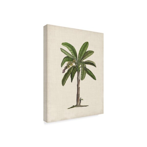 Trademark Fine Art Naomi Mccavitt 'British Palms Ii' Canvas Art, 14x19 - WAG06876-C1419GG