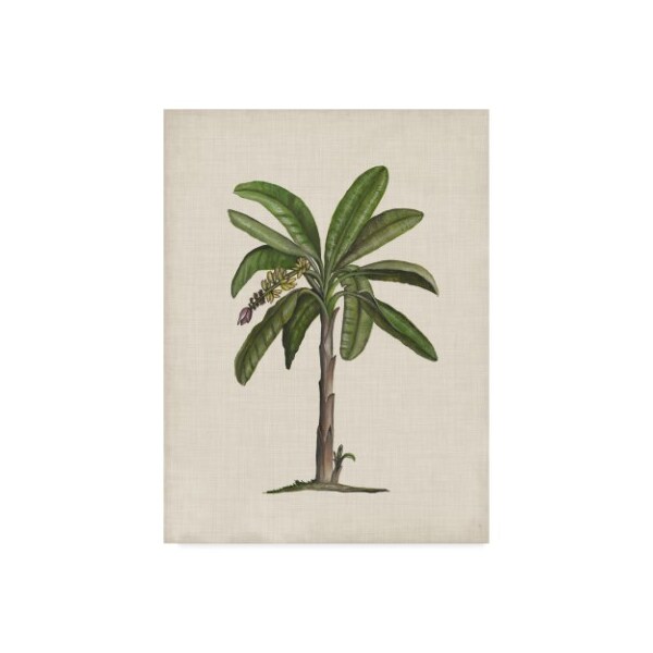 Trademark Fine Art Naomi Mccavitt 'British Palms Ii' Canvas Art, 14x19 - WAG06876-C1419GG