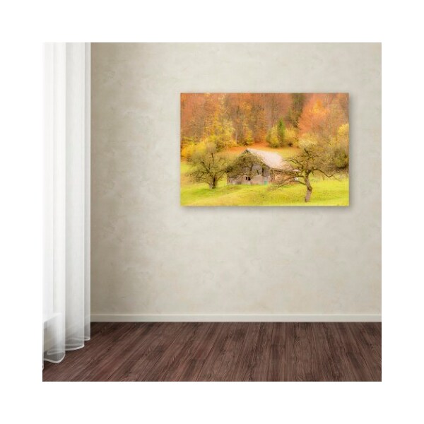 Trademark Fine Art Dan Ballard 'Harvest Cattle' Canvas Art, 16x24 - ALI8069-C1624GG