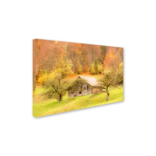 Trademark Fine Art Dan Ballard 'Harvest Cattle' Canvas Art, 16x24 - ALI8069-C1624GG