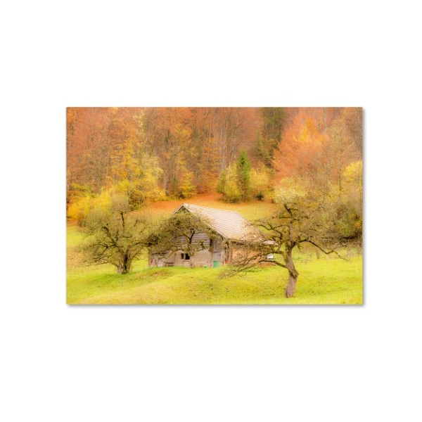 Trademark Fine Art Dan Ballard 'Harvest Cattle' Canvas Art, 16x24 - ALI8069-C1624GG