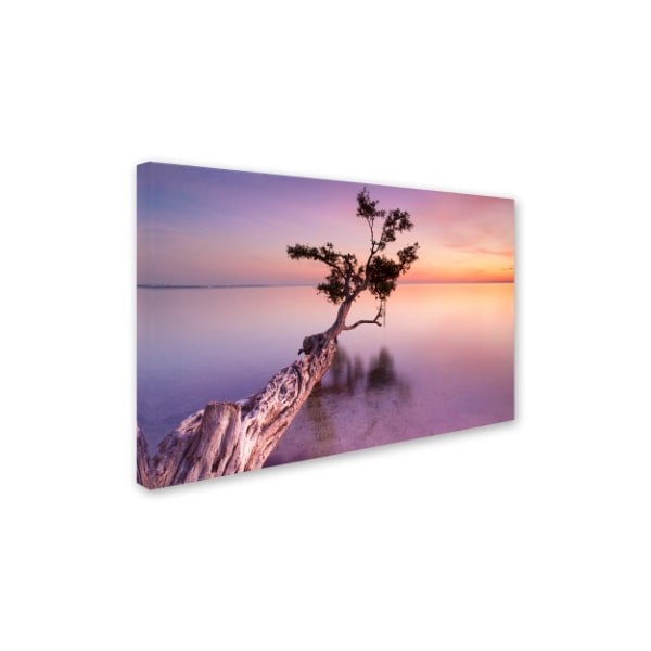 Trademark Fine Art Moises Levy 'Water Tree XI' Canvas Art, 16x24 - ALI1127-C1624GG