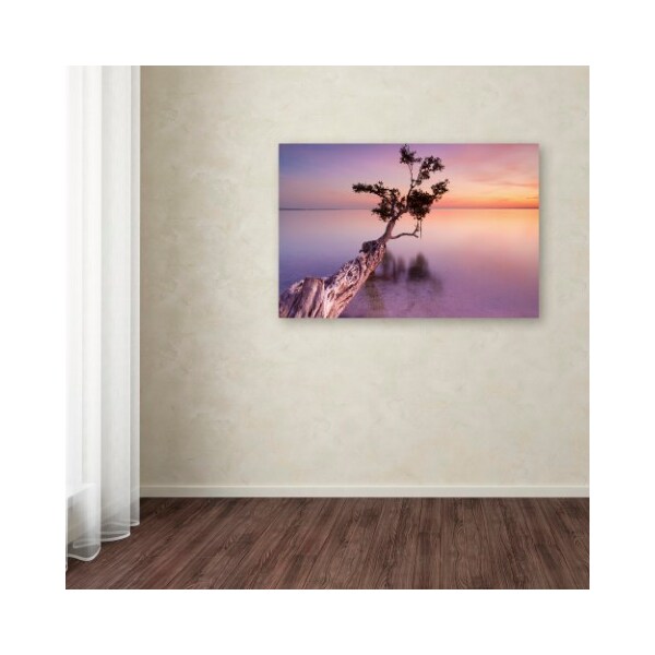 Trademark Fine Art Moises Levy 'Water Tree XI' Canvas Art, 16x24 - ALI1127-C1624GG