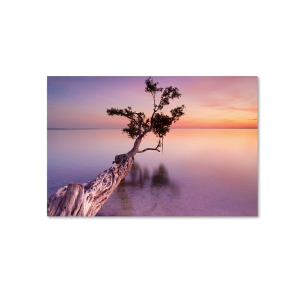 Trademark Fine Art Moises Levy 'Water Tree XI' Canvas Art, 16x24 - ALI1127-C1624GG