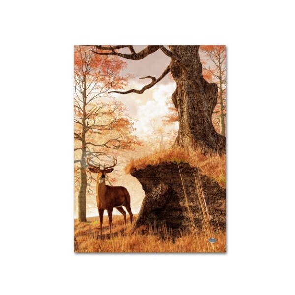 Trademark Fine Art Daniel Eskridge 'Autumn Buck' Canvas Art, 18x24 - ALI12841-C1824GG