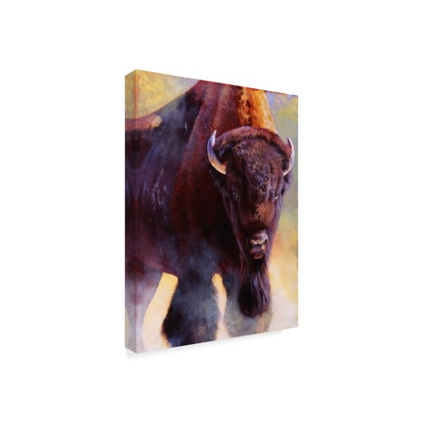 Trademark Fine Art Julie T. Chapman 'Warrior Buffalo' Canvas Art, 18x24 - WAG03676-C1824GG