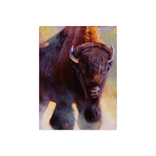 Trademark Fine Art Julie T. Chapman 'Warrior Buffalo' Canvas Art, 18x24 - WAG03676-C1824GG
