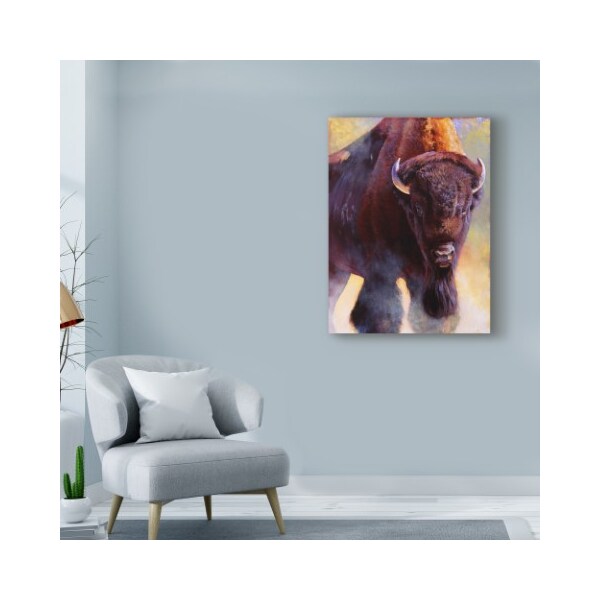 Trademark Fine Art Julie T. Chapman 'Warrior Buffalo' Canvas Art, 18x24 - WAG03676-C1824GG