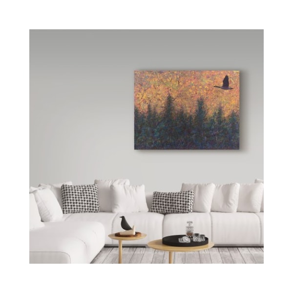 Trademark Fine Art James W. Johnson 'Solitary Goose' Canvas Art, 18x24 - ALI36307-C1824GG