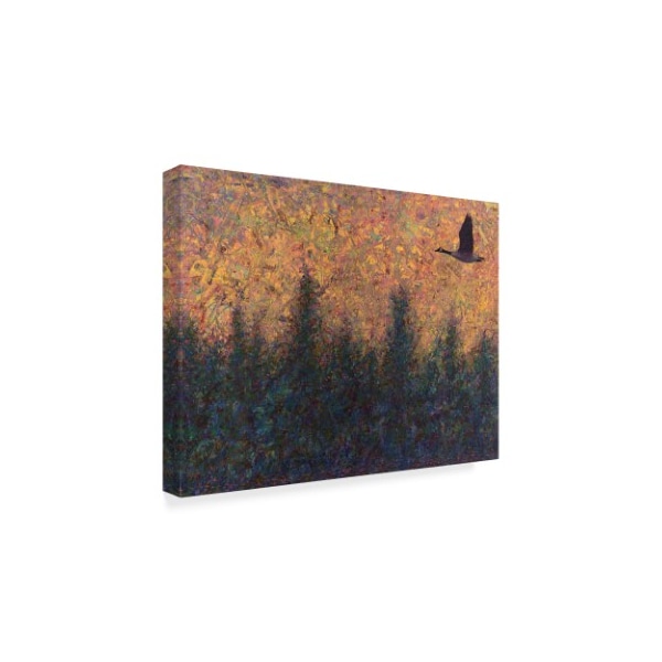 Trademark Fine Art James W. Johnson 'Solitary Goose' Canvas Art, 18x24 - ALI36307-C1824GG