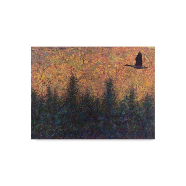 Trademark Fine Art James W. Johnson 'Solitary Goose' Canvas Art, 18x24 - ALI36307-C1824GG