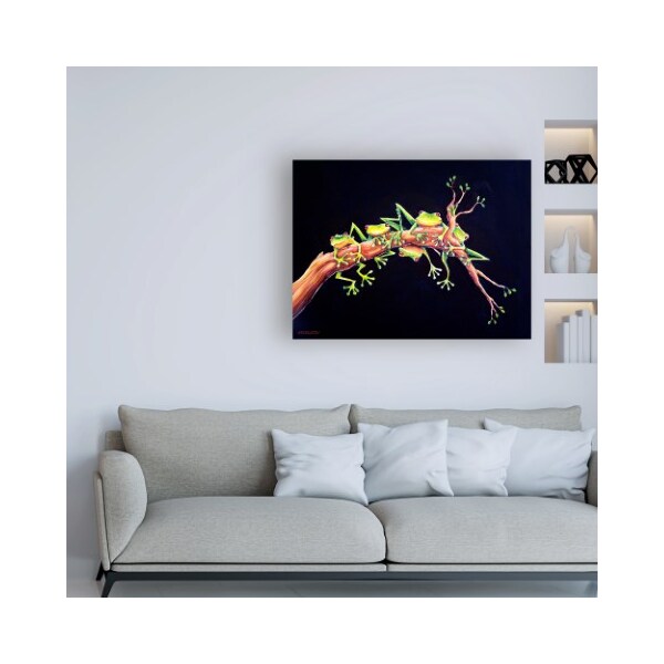 Trademark Fine Art Deborah Broughton 'Frog Just hanging' Canvas Art, 18x24 - ALI46874-C1824GG