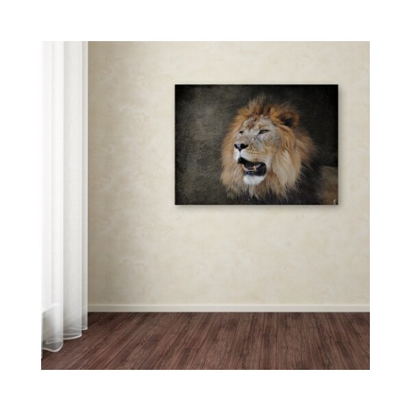 Trademark Fine Art Jai Johnson 'Male Lion Portrait 2' Canvas Art, 18x24 - ALI13892-C1824GG