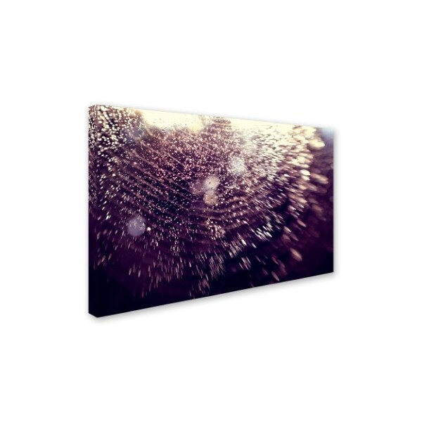 Trademark Fine Art Beata Czyzowska Young 'Wishful Thinking' Canvas Art, 22x32 - BC0283-C2232GG