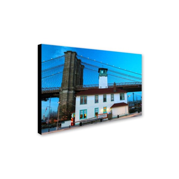 Trademark Fine Art CATeyes 'Brooklyn 1' Canvas Art, 22x32 - MZ0288-C2232GG